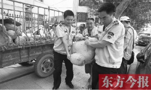 昨日，鄭州金水區(qū)執(zhí)法局的執(zhí)法隊員捐錢買瓜，替瓜農(nóng)解憂