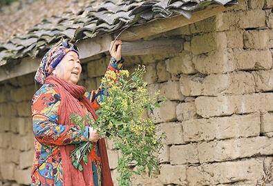 公式“時尚奶奶”的賞花照，收獲了好多人的點(diǎn)贊。 受訪者供圖