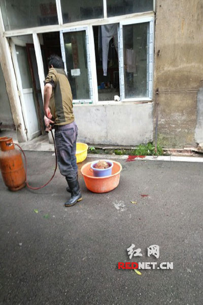 5月8日，男子在校園里殺狗，地上殘留一塊血跡。目擊者供圖。