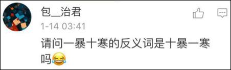 鶴立雞群？雞立鶴群！