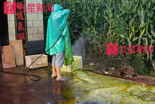 文玩核桃遇冷由幾萬一對降到5元沒人要？商戶否認