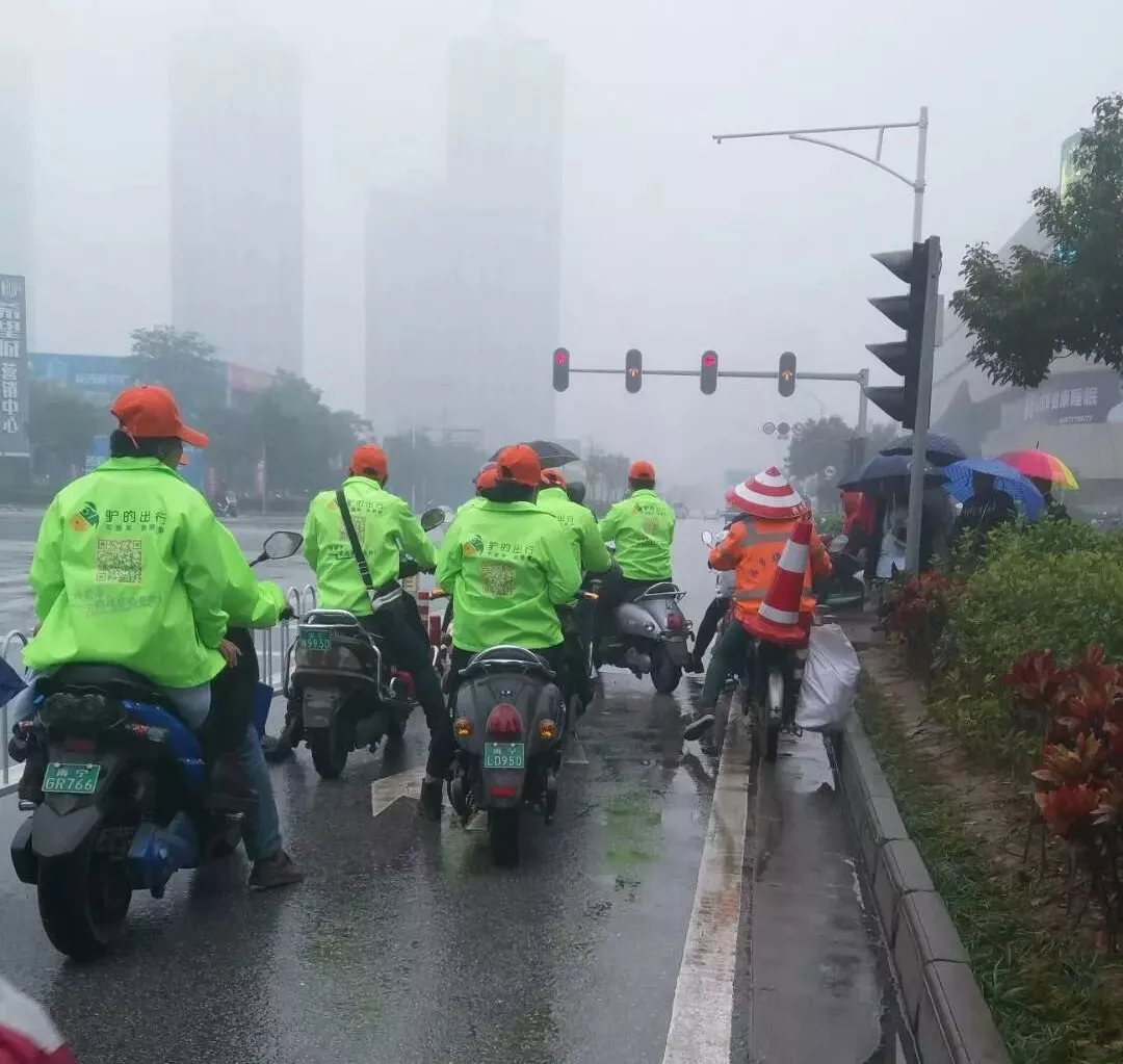 出門打驢？ 南寧“滴滴打驢”被緊急叫停