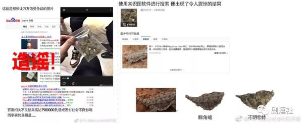 PGone又教給我們一個(gè)新詞：虐粉。