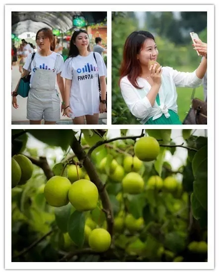 美女與香梨，你更愛(ài)哪一個(gè)？！