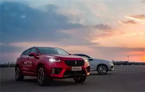去年“蹦”出來的新汽車品牌們，現(xiàn)在活得怎么樣了？
