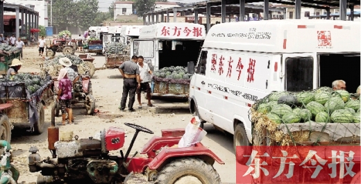 昨日，東方今報(bào)與河南福壽園聯(lián)合購(gòu)瓜，只有更多的市民和企業(yè)加入購(gòu)瓜行動(dòng)，瓜農(nóng)們才能早日回家
