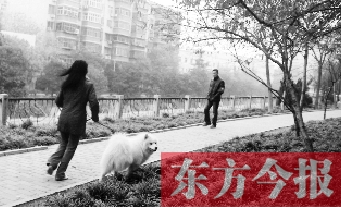 12月3日，鄭州市南關(guān)街熊兒河旁，一名遛狗的女子見(jiàn)到執(zhí)法人員檢查，迅速跑開(kāi)