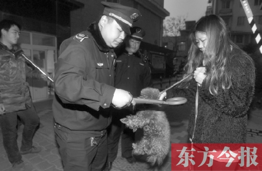 12月3日早上6點(diǎn)半，鄭州市南關(guān)街熊兒河旁，南關(guān)街辦事處的執(zhí)法人員對(duì)狗進(jìn)行排查