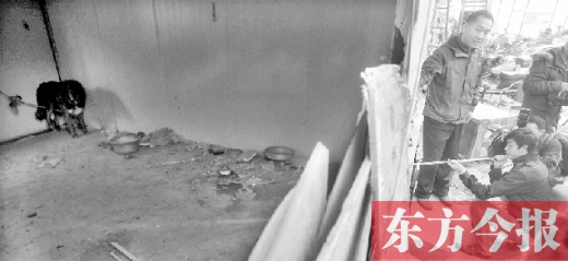 12月4日，鄭州市未來路與隴海路交叉口西側(cè)，執(zhí)法人員用吹管麻醉針對付一只藏獒