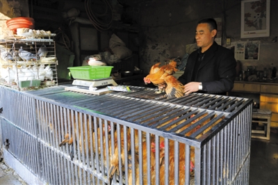 南京另一家農(nóng)貿(mào)市場(chǎng)內(nèi)待售的活雞。因南京出現(xiàn)H7N9禽流病例，買活雞的顧客減少。