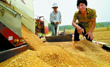 6月3日， 濮陽開發(fā)區(qū)胡村鄉(xiāng)后范莊村的續(xù)秀萍看著新打的粒大飽滿的小麥喜上眉梢。