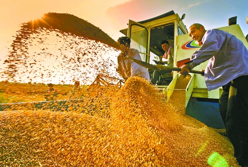 根據(jù)國(guó)家統(tǒng)計(jì)局核定結(jié)果，我省2012年糧食總產(chǎn)量達(dá)到1127.72億斤，成為第9個(gè)連續(xù)增產(chǎn)年份。