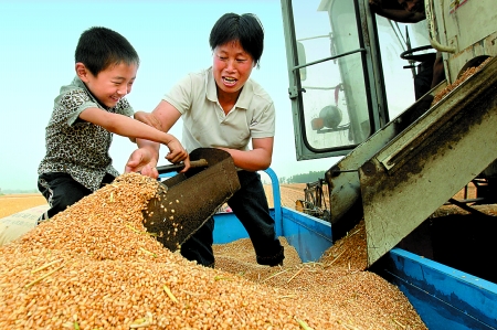 5月27日，確山縣劉店鎮(zhèn)前槽村郭景蓮和小孫子一起收獲小麥，豐收的喜悅寫在了臉上。