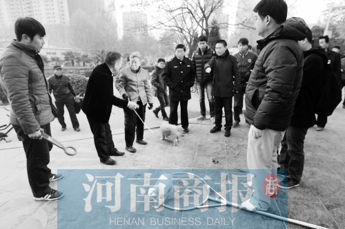 一只辦過(guò)狗證的小白狗，因?yàn)闆](méi)有拴犬鏈，被執(zhí)法人員暫扣