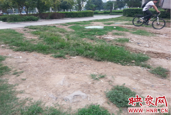 公園內(nèi)大片草坪遭到破壞。