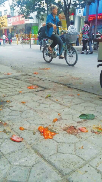 爛了一地的柿子影響市容，還常?；谷恕? width=