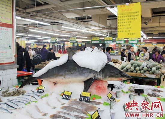 鄭州市一家超市海鮮區(qū)的冰架上赫然擺著一整條鯊魚在出售，鯊魚肉價格為23.80元每斤，遠(yuǎn)低于牛羊肉的價