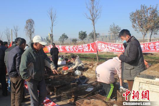 圖為百余名愛狗人士把老李的貨車攔截，數(shù)十人正在從貨車上卸下裝滿狗的鐵籠?！●R義恒　攝