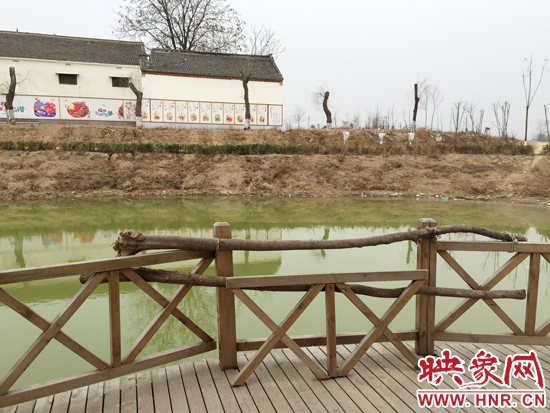 護(hù)欄損毀的地方，已經(jīng)被兩根樹(shù)干擋住。