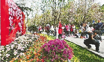 市民紛紛將鏡頭對準花叢。