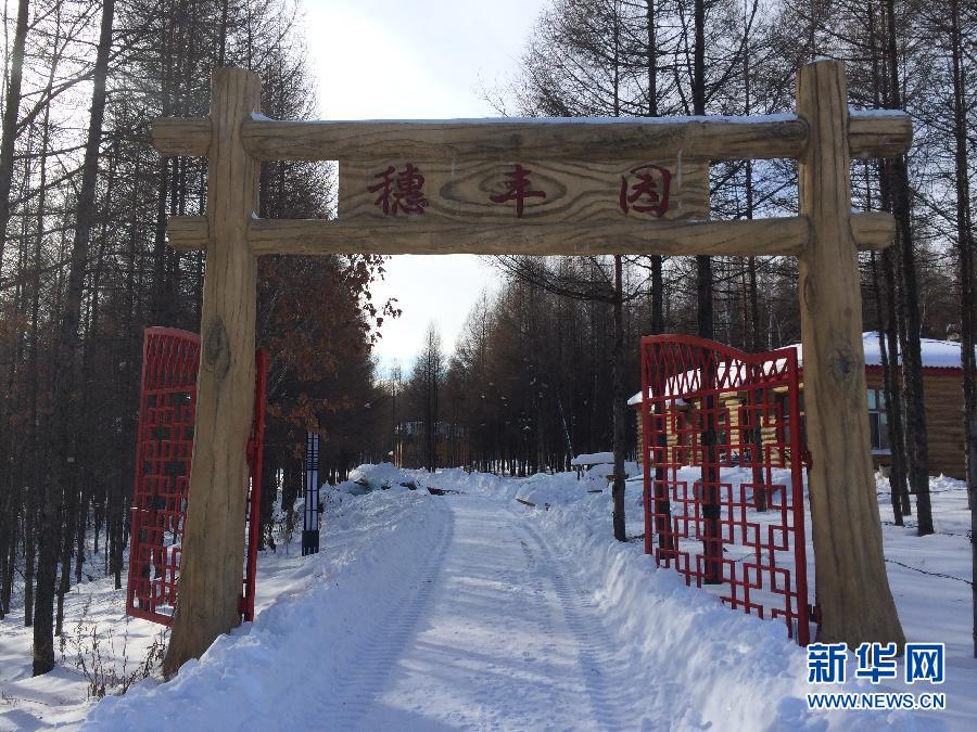 北山一隅的穗豐園（2013年12月8日攝）。新華社記者程子龍攝
