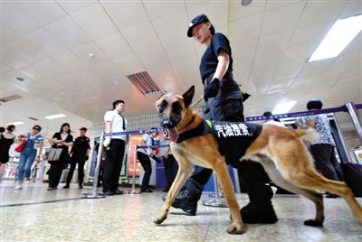 地鐵王府井站搜汽油警犬在安檢口巡邏。新京報記者 王貴彬 攝