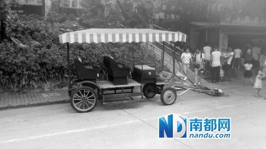 園方則稱解剖后發(fā)現(xiàn)馬死于心臟衰竭，“與累無關(guān)”。