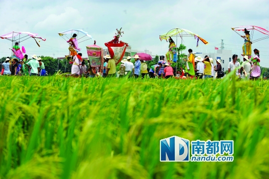 崖口村每年都在村里舉行飄色巡游活動(dòng)。
