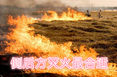 不要在風(fēng)頭上打火：風(fēng)正大，火正旺，最容易傷人；