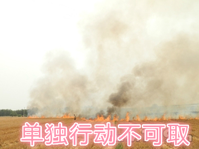 不要單獨一個人亂沖亂打：單獨行動被煙氣沖昏倒地，無人發(fā)覺被燒；