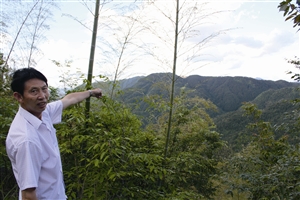 村民吳學(xué)田告訴記者，對面兩座山就是潘建友承包的部分山場 見習(xí)記者 邱一文 攝