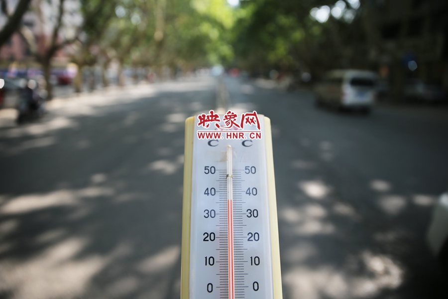 7月8日下午15時(shí)30分，人民路樹陰處溫度為36度，比人防納涼處高11度。