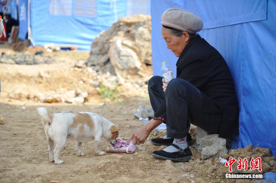 8月6日，一名老人將剛領(lǐng)到的礦泉水分給小狗。