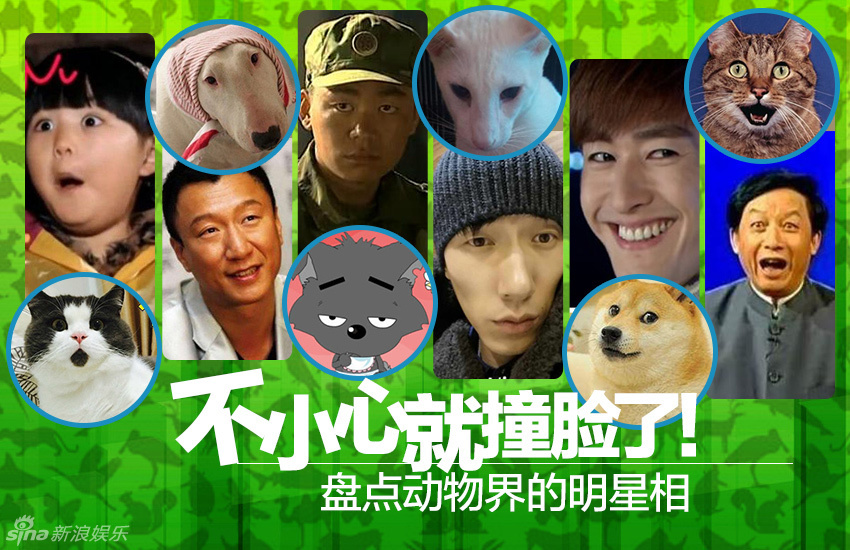 不小心就撞臉了！盤點(diǎn)動物界的明星相