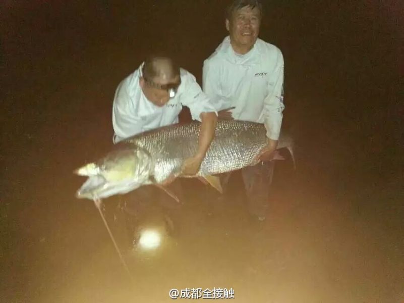 圖為大魚需要兩個(gè)人抱起。
