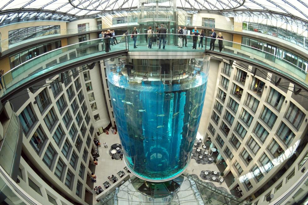 在圓柱水族館主體下方，還有一些別的展館。