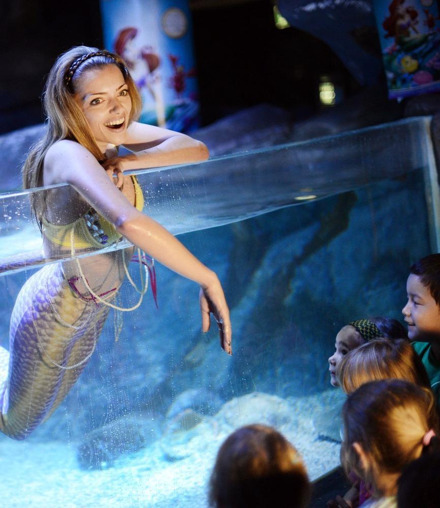 德國女演員安妮·門登在水族館里客串了一把“美人魚”，順便為她的電影《小美人魚》做宣傳。