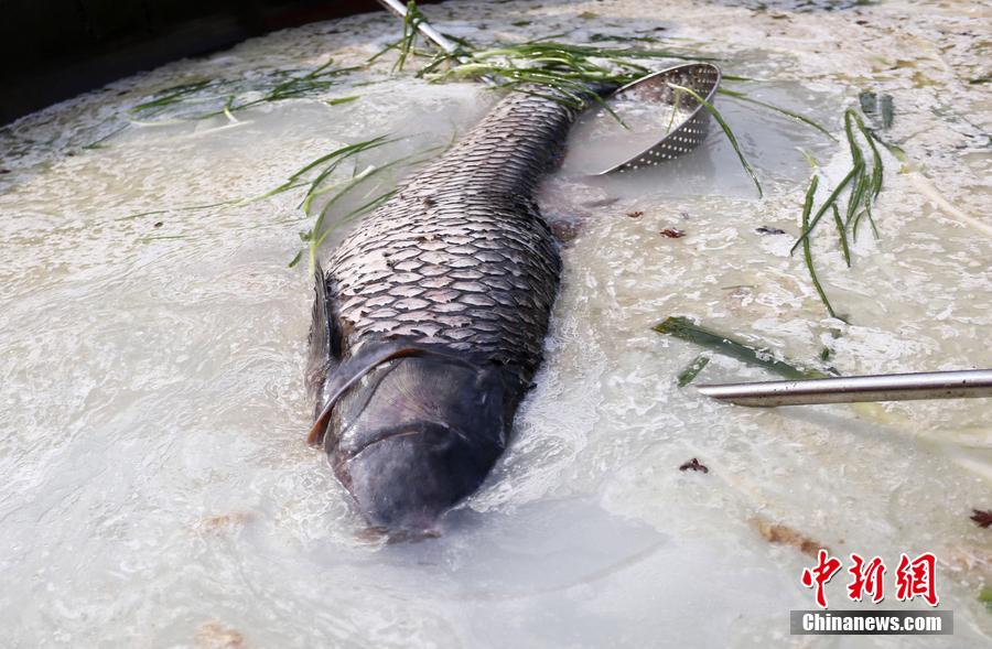 “魚王”在3米大鍋內(nèi)烹飪。 圖片來源：CFP視覺中國(guó)