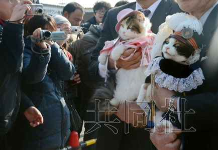 圖為粉絲們簇?fù)碇鞍⒂瘛闭鹃L（右）。左側(cè)為其部下“二玉”。