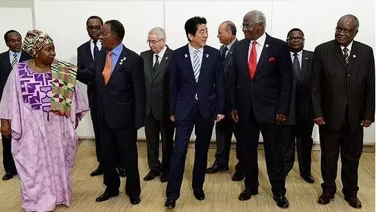 安倍此去肯尼亞是為了出席日本政府主導的第六屆非洲開發(fā)會議。此次會議通過了內羅畢宣言：主要內容包括，促進經濟多元化，通過產業(yè)化推動經濟結構改革;促進保障高品質的保健系統(tǒng);促進保障共同繁榮的社會安定。