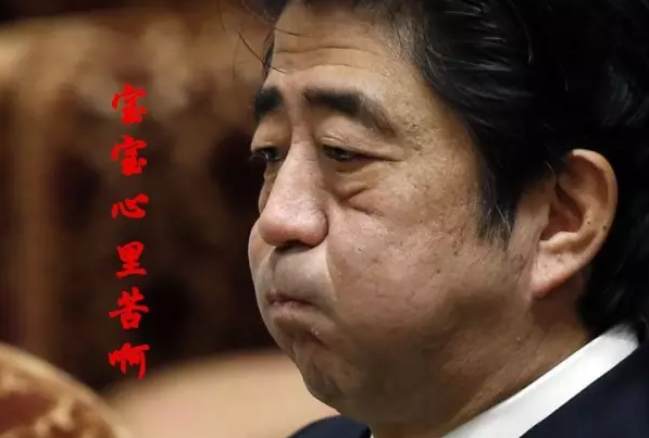 這種看安倍“熱鬧”的事兒，環(huán)環(huán)絕不私藏，一定雨露均沾!