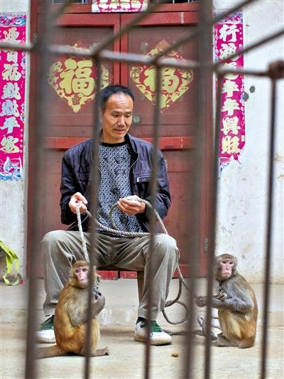 10月13日，耍猴人鮑慶山牽著從牡丹江帶回的兩只小猴在家門口玩耍。