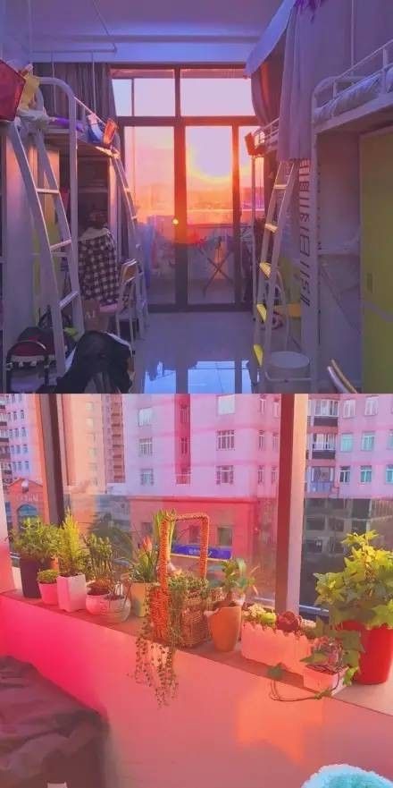 這個學(xué)校的男生宿舍火了！女同學(xué)都喊著要嫁