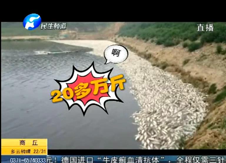 20萬(wàn)斤魚翻肚因缺氧？