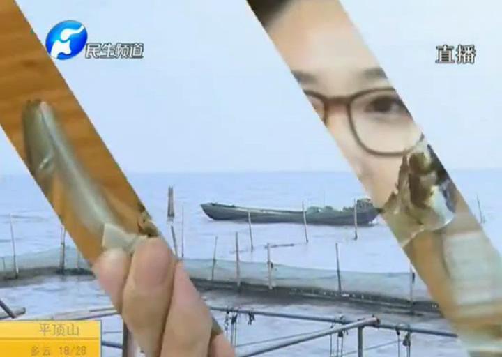 陽澄湖大閘蟹？假的！