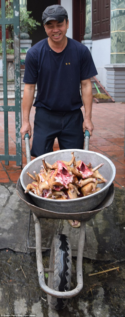越南貓肉餐廳：將貓淹死、剝皮、切成小塊，再油炸